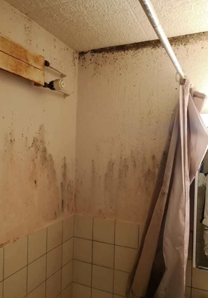 Schimmelsanierung - Bild 1