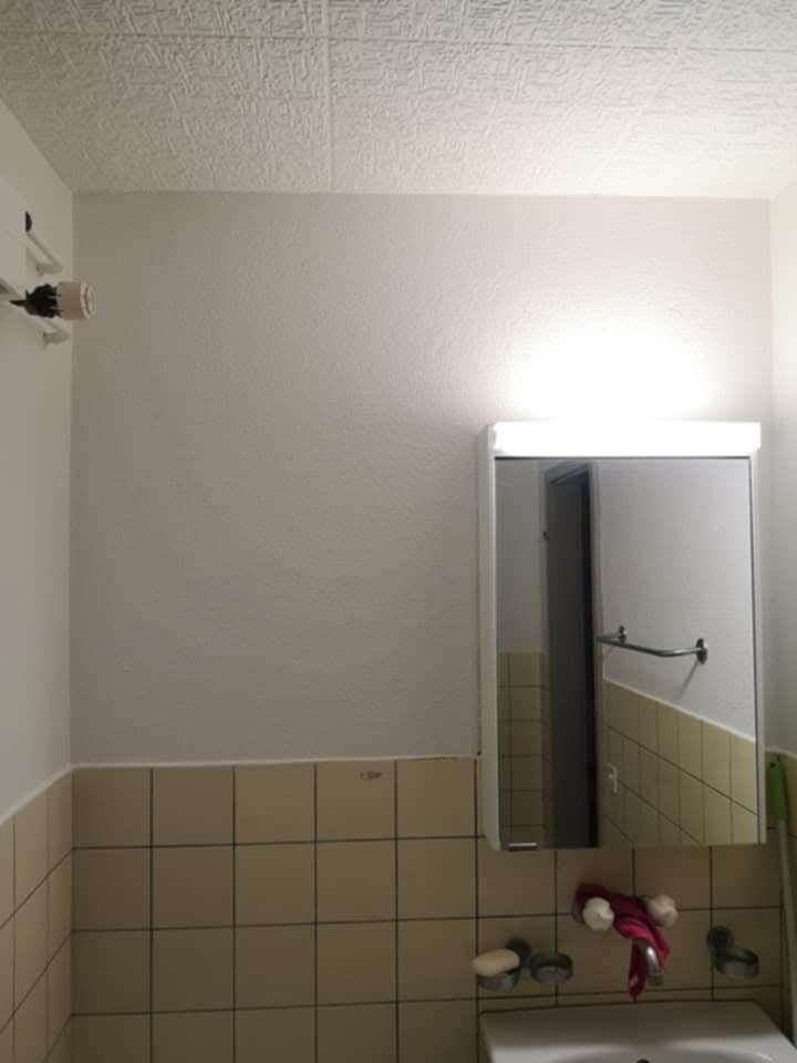 Schimmelsanierung - Bild 2